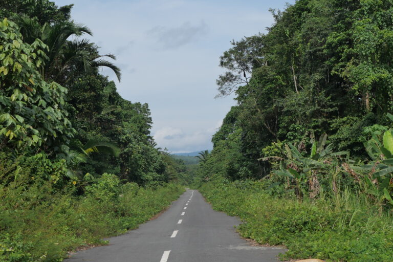 alan yang melintasi wilayah Adat Yano Akrua dan komunitas adat lain yang menjadi area konsesi PT Permata Nusa Mandiri.Foto: Asrida Elisabeht/ Monagaby Indonesia