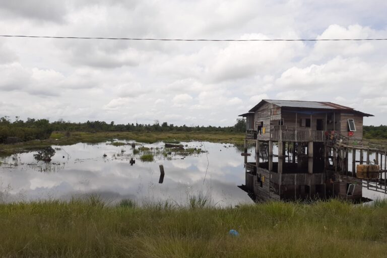 Wilayah perbatasan Pekanbaru dan Kampar di Jalan Riau Ujung adalah kawasan lahan basah namun rawan kebakaran karena masifnya pembangunan perkebunan kelapa sawit. Foto Suryadi Mongabay Indonesia..jp