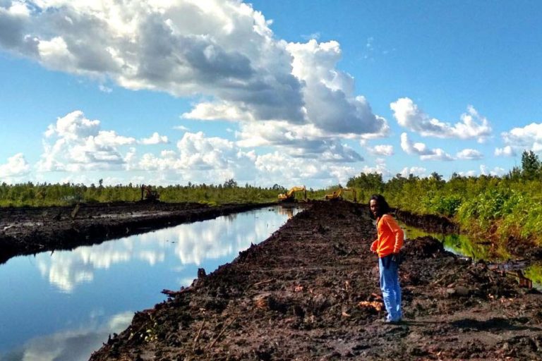 Kanal primer eks PLG di Kabupaten Pulang Pisau, Kalimantan Tengah yang ditutup secara permanen. Nantinya ditengah hanya disisakan salurah air untuk jalur transportasi warga. Foto: Indra Nugraha/ Mongabay Indonesia
