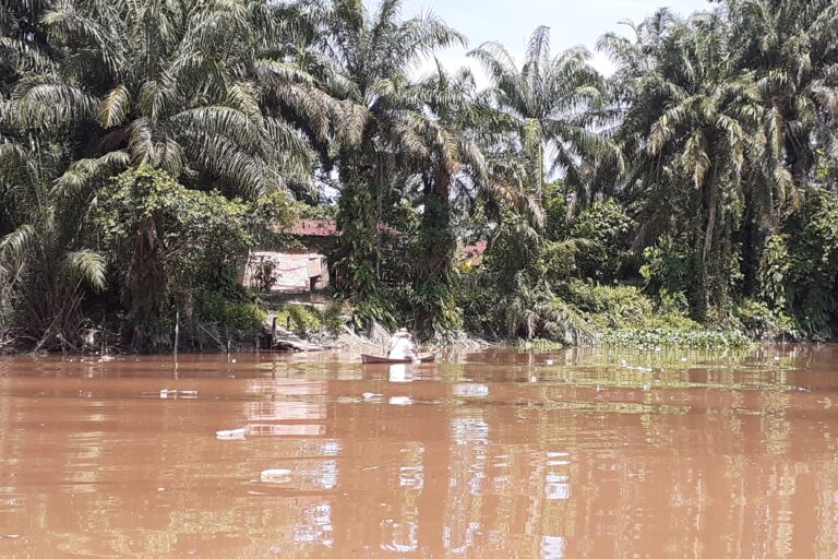 Pupuk perkebunan sawit turut menyumbang beban pencemaran di Sungai Siak. Mengancam biota sungai. Foto: Suryadi/Mongabay Indonesia