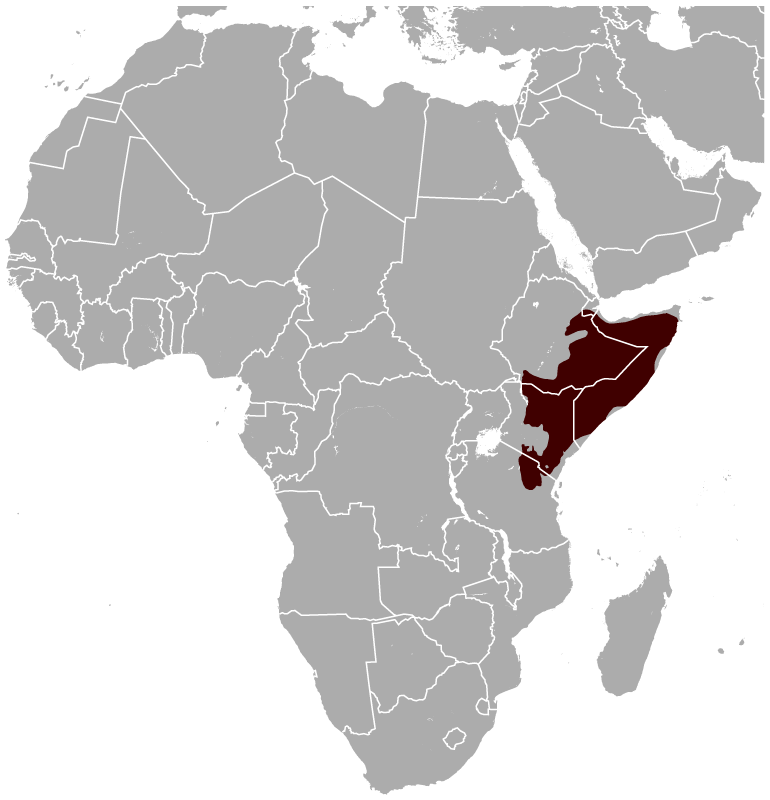 Penyebaran gerenuk | By The author of the workand the IUCN Red List spatial data, CC BY-SA 4.0, https://commons.wikimedia.org/w/index.php?curid=41485675
