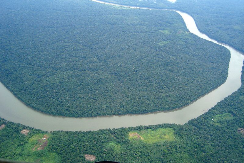 Hutan hujan Amazon Elon Musk bertemu dengan Presiden Brasil Jair Bolsonaro untuk membahas konektivitas internet dan proyek lain di hutan Amazon