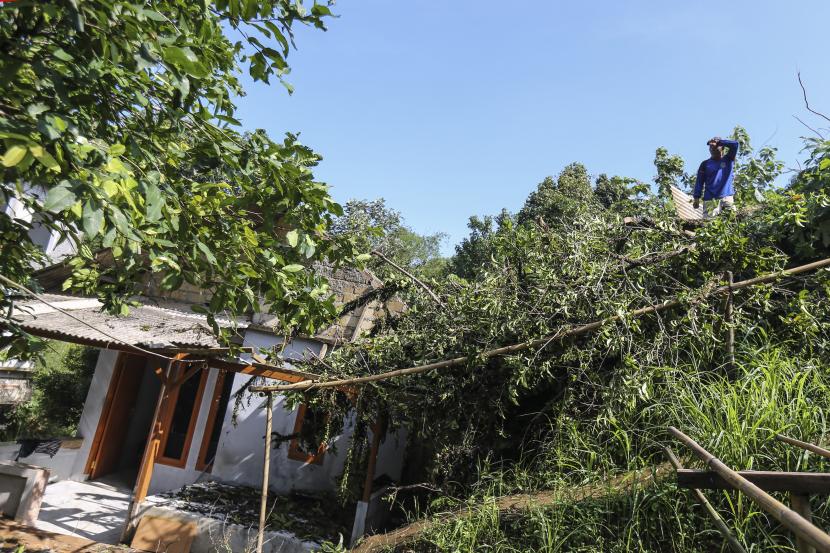 Warga melihat rumah yang tertimpa pohon akibat angin kencang di Depok Jawa Barat Dinas LHK Depok mengevakuasi pohon tumbang akibat angi kencang