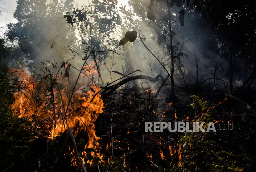 BPBD Kalimantan Selatan mendeteksi 7735 titik api
