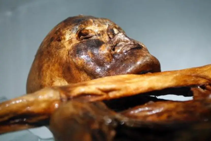 Mumi manusia es Oetzi keturunan dari petani Turki