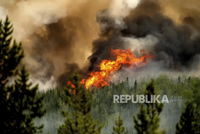 Kebakaran hutan di provinsi barat Kanada British Columbia meluas