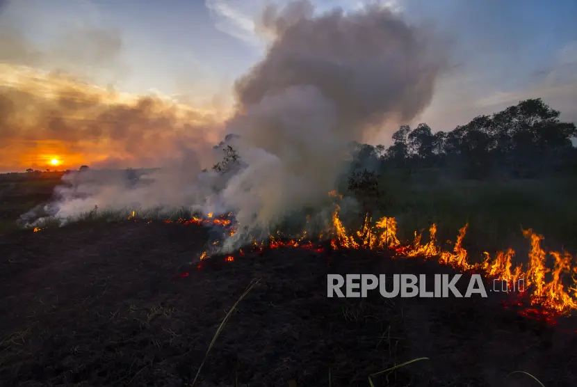 Api membakar hutan dan lahan di Kecamatan Landasan Ulin Banjarbaru Kalsel BNPB mencatat jumlah titik api meningkat signifikan memasuki puncak musim kemarau