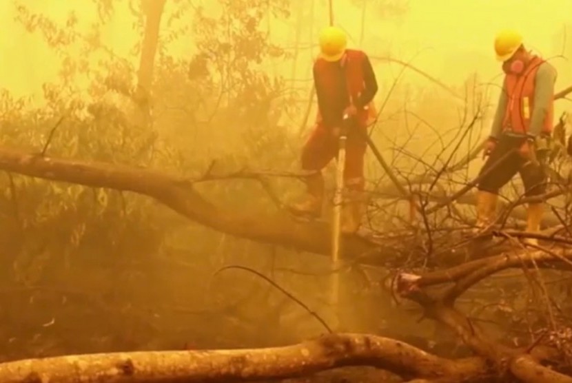 Kebakaran hutan Ilustrasi Di area hutan Yunani yang hangus terbakar di dekat perbatasan dengan Turki 18 jenasah yang diduga para imigran dengan kondisi menghitam