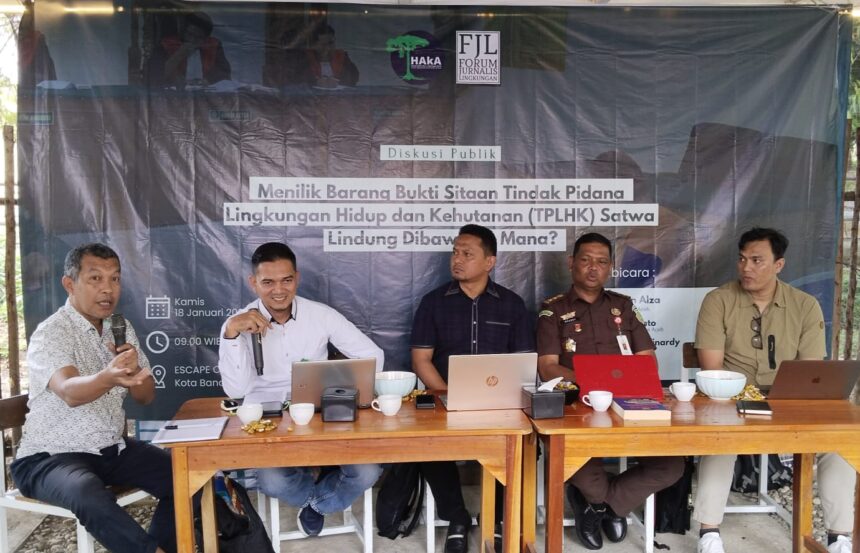 Diskusi Publik Barang Bukti Tindak Pidana Lingkungan Hidup dan Kehutanan TPLHK Satwa Lindung di Kota Banda Aceh Kamis 1812024 Dok FJL Aceh