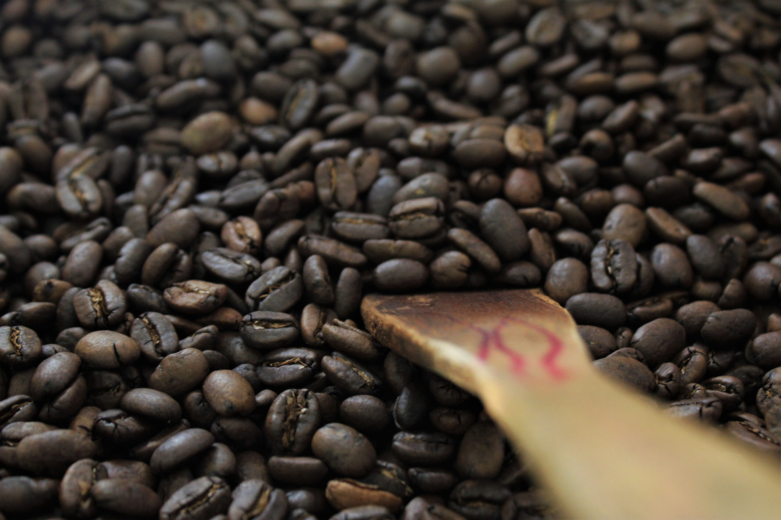 roasting kopi