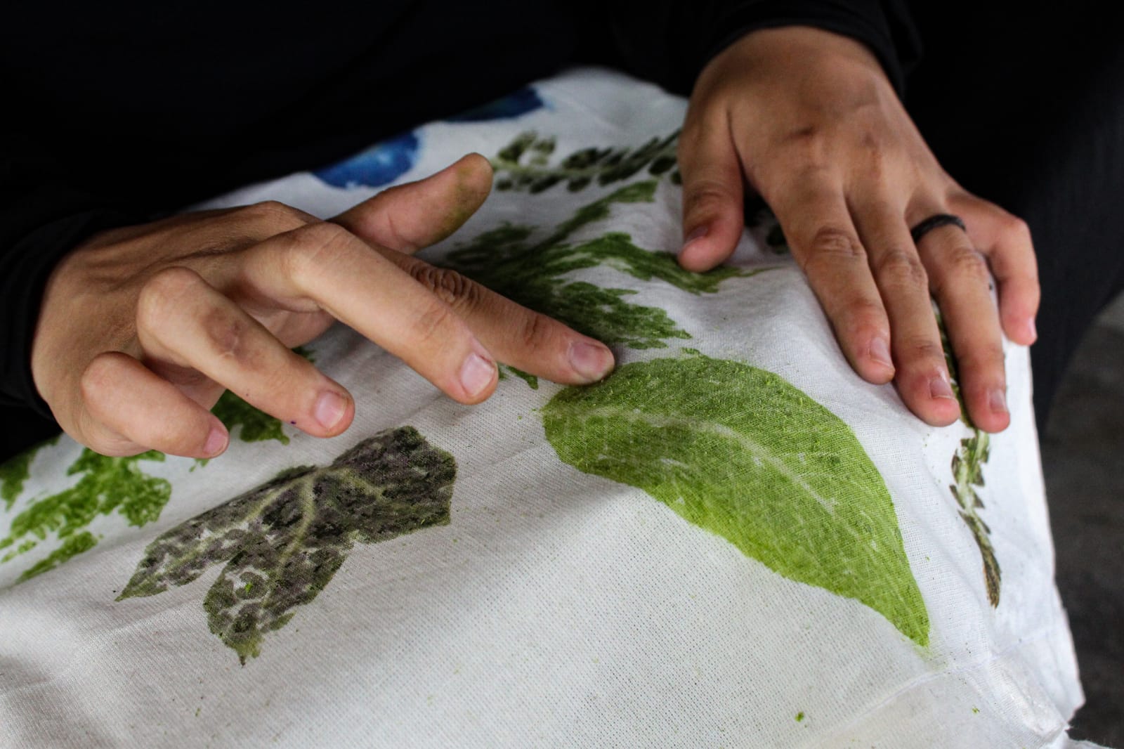 ecoprint 3